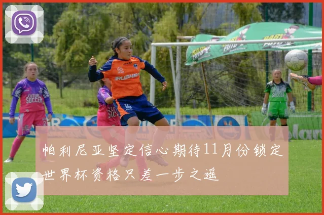 帕利尼亚坚定信心期待11月份锁定世界杯资格只差一步之遥