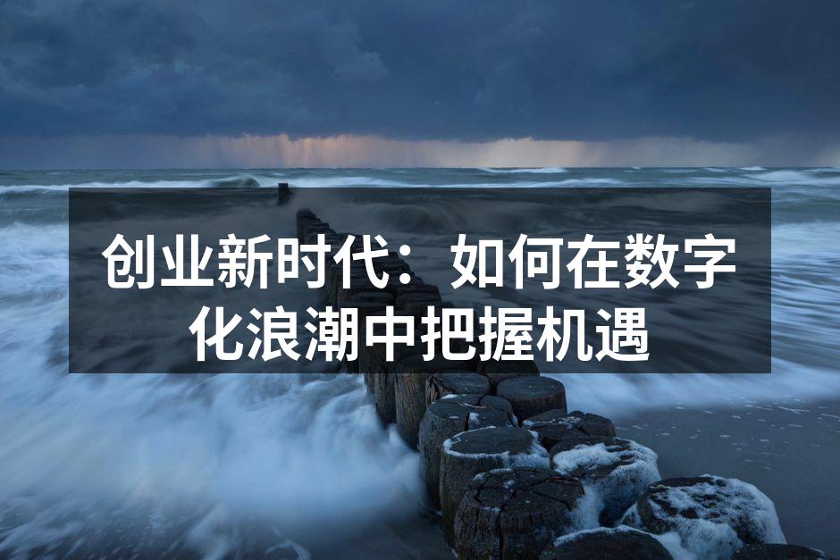 创业新时代：如何在数字化浪潮中把握机遇